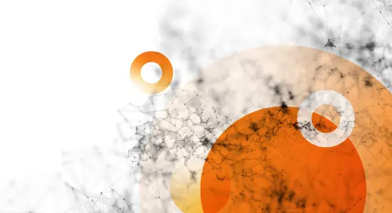Abstract image with a white background featuring large orange circles and smaller ones overlaying a network of black interconnected lines and dots, creating a sense of depth and complexity.