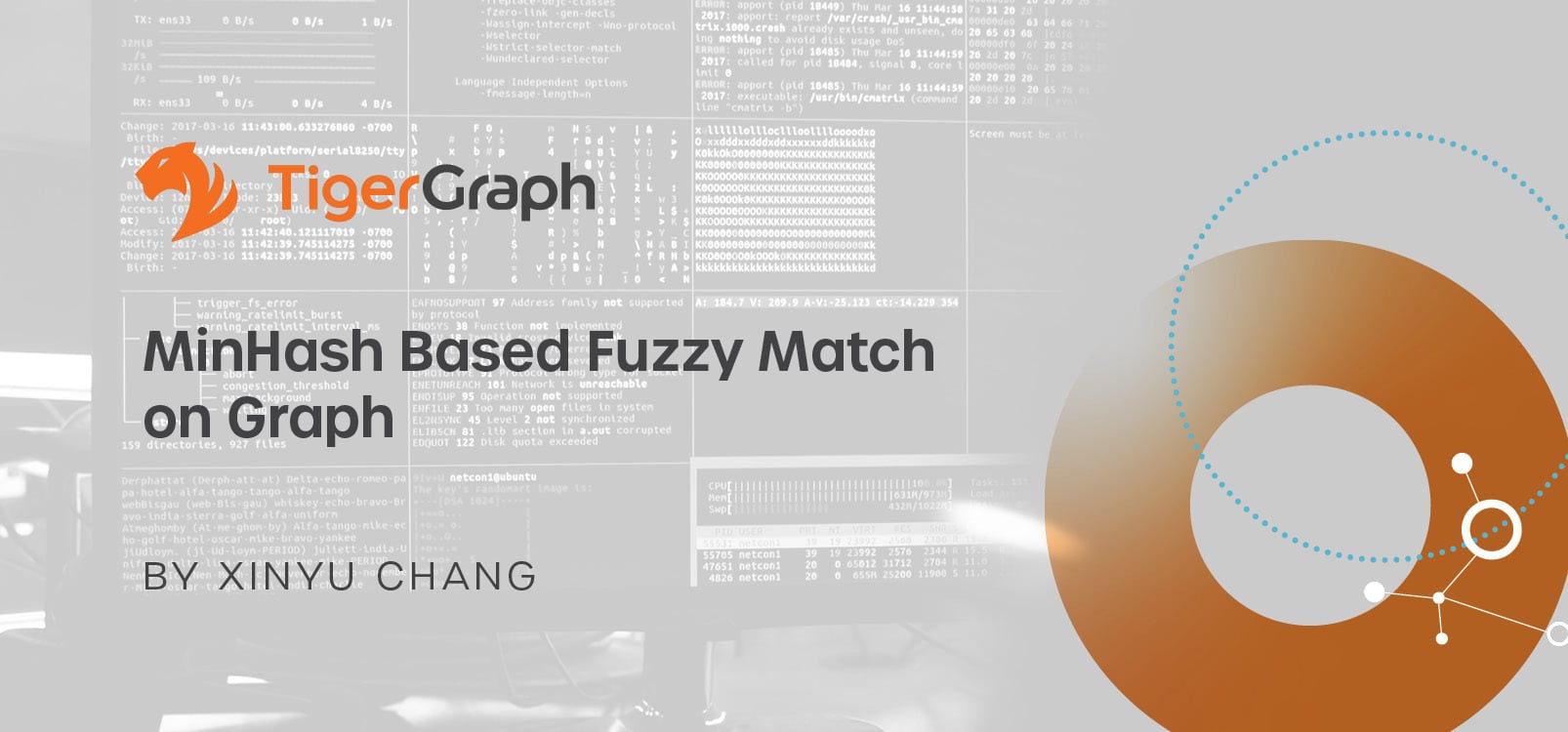 MinHash Based Fuzzy Match on Graph