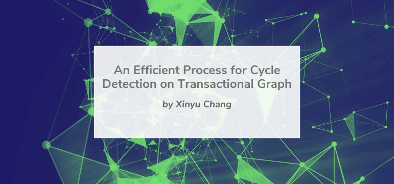 An Efficient Process for Cycle Detection on Transactional Graph