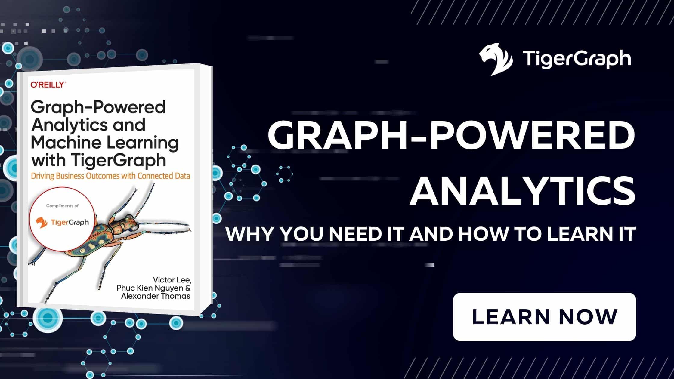 Read more about the article Graph-Powered Analytics: Why You Need It and How to Learn It