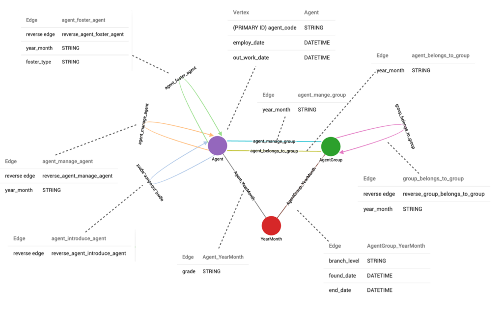 multiedge schema for insurance agents